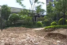 住宅与公寓间的围墙被拆：绿化变黄土！住宅、公寓“难两全”，属于同一地块，权益能否同享？图片