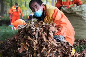 寒风无情摧落叶，环卫工人清扫忙：“早上6点开始工作，一上午就能装20麻袋”图片
