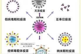 IFN-γ ELISpot方法评估疫苗图片