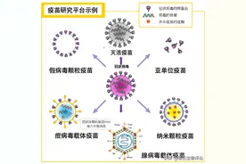 IFN-γ ELISpot方法评估疫苗图片
