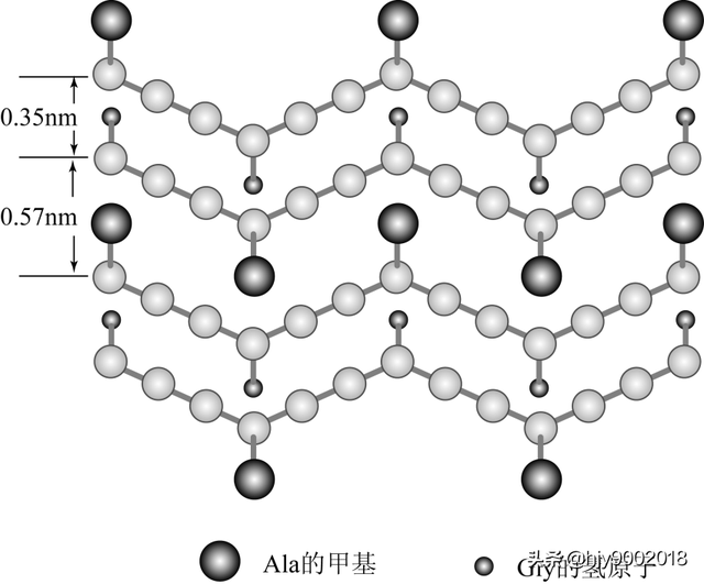 蛋白质的二级结构