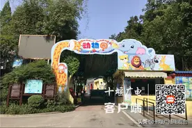 十堰动物园全新升级改造，体验互动投喂新玩法图片