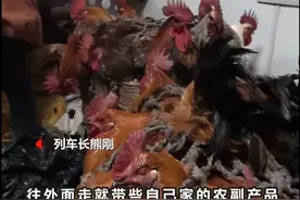 列车到站，一群羊咩咩上车了图片