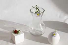 心理学：女人，请小心那个每天都陪你聊天的男人图片