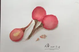 手绘一看就会，简单又有趣的《葡萄》图片