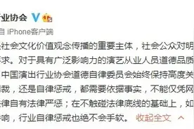 央视网评｜艺人不仅是一种职业更是巨大责任图片