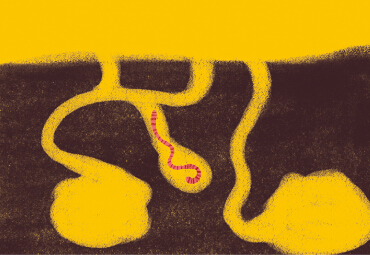 宝宝学画画教程：地下小动物