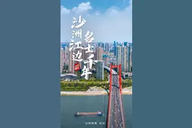 1/11，这里是鹦鹉图片