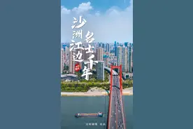 1/11，这里是鹦鹉图片