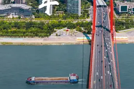 1/11，这里是鹦鹉图片