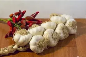 种用蒜头如何夏季贮藏？蒜农告诉你：大蒜种子好坏影响品质和产量图片