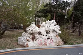 沈阳“百鸟公园”实景图片欣赏图片
