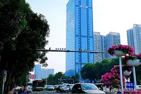 欢乐家湛江迷思般的成功企业图片