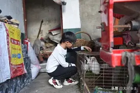 河南12岁男孩从小失去妈妈，现爷爷患癌爸爸重病住院，他该咋办？图片