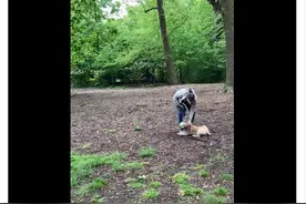 男子请求狗主人栓狗绳，对方立马报警称有生命危险，视频发布后网民怒了图片