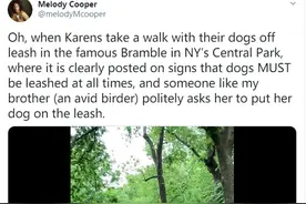男子请求狗主人栓狗绳，对方立马报警称有生命危险，视频发布后网民怒了图片