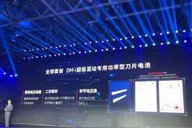 宋PLUS DM-i细节干货（三）：刀片电池参数分析图片