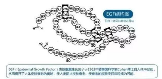 美肌冻干粉有什么作用 美肌冻干粉有什么作用和功效