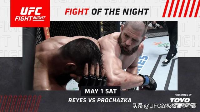 捷克“怪鸟”一飞冲天：普罗哈兹卡凶狠KO雷耶斯