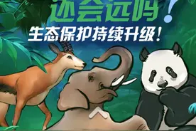 滚滚都“降级”了，这些动物还会远吗？图片