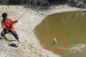 不管多大就是直接飞，小孩大竹竿，钓鱼必须要猛！视频封面