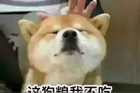 今天我跟女友说午饭AA，她居然生气了，让我去找支付宝AA图片