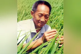 袁隆平生前10件小事：在街边店理发18年，穿35元衣服，朴素一生图片