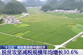 一组数据告诉你 过去五年中国经济发生了哪些变化→图片