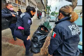 妇女和6只狗在塑料袋里过冬，多次拒绝去救助站，只因舍不得它们图片