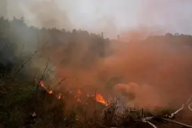 湖南举行森林火灾扑救实战演练，直升机挖机都出动了图片