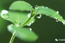 如何培养一个有上进心的女孩图片