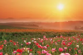 院长亲笔｜希望是什么？图片