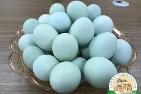 【扶贫带货 助力脱贫】开阳生态富硒蛋图片