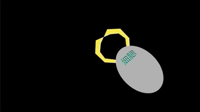 糖：最甜蜜的杀手，成瘾性极强？我们为什么无法戒糖…