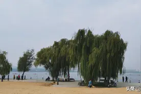 淄博这处地方这两年特别火，有水有景有沙滩，还可以露营野餐图片