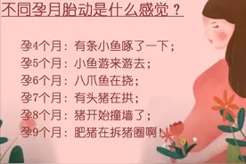 胎动是啥感觉？4个月像鱼啄，7个月像猪拱，9个月像肥猪拆猪圈图片
