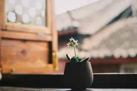 人到中年，习惯世事无常，看淡人走茶凉图片