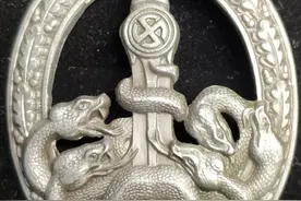 二战德军名声很臭的反游击勋章是什么？萨沙问答第七集图片