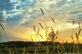 安徽补漏人老张，炎炎夏日桥底下的蜗居生活图片