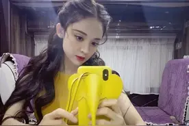 Jennie同款手机壳不到50块？古力娜扎 Kendall 同款为何是天价图片