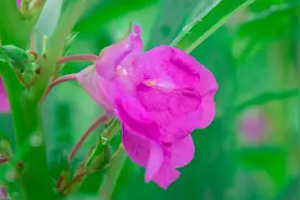 小说：小三进家（1）图片