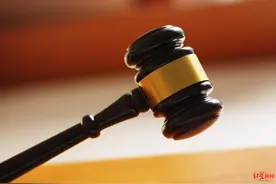 女孩暴打虐猫男获刑 律师：人的生命健康权高于动物图片