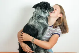 狗和人类的基因相似度高达95%，意不意外？为什么会这样？图片