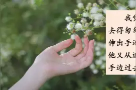 语文微课堂：统编语文（六下）《8 匆匆》图片