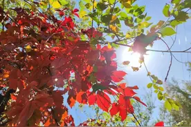 有一个人，在不在身边，都会思念图片