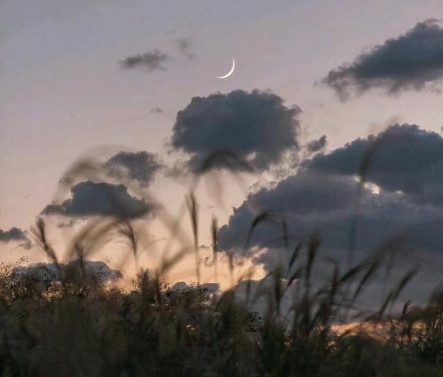 С˵İ
