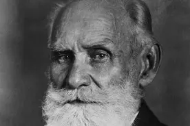 心理学：心理治疗的矫正疗法图片