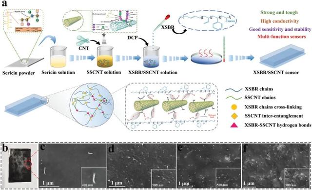 高性能、灵敏、可穿戴多功能传感器，用于人体运动和皮肤温度检测