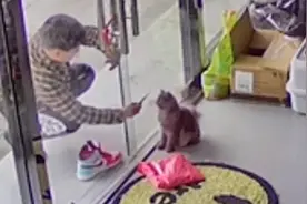 南京一店铺小猫遭11岁熊孩子虐待，刀戳殴打夹脖子! 爸妈拒绝道歉视频封面