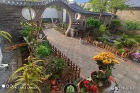 农村老房上青砖、青瓦不要轻易抛弃，以后会很值钱图片